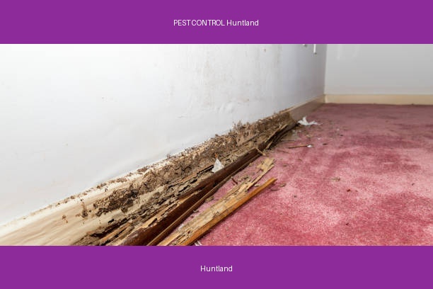 PEST CONTROL Huntland